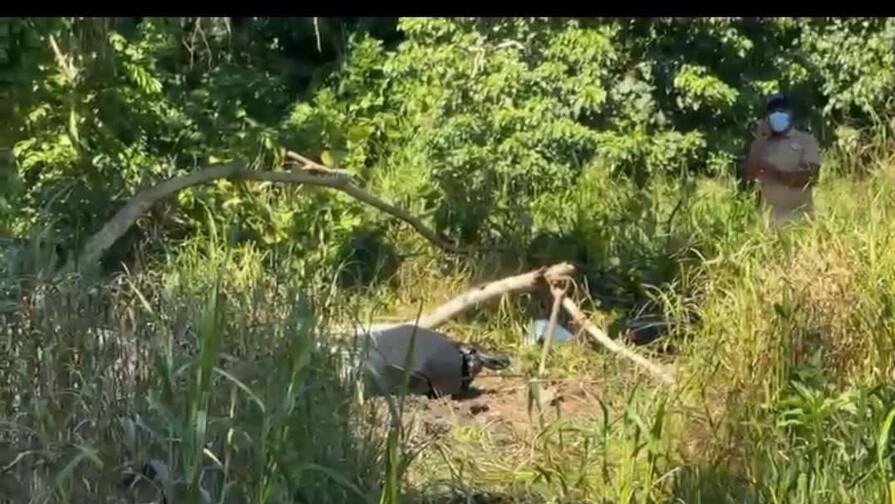 Encuentran cad&aacute;ver en Nagua; presumen corresponde a joven desaparecido hace 16 d&iacute;as
