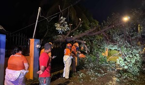 Lluvias y vientos derriban &aacute;rboles y afectan varias localidades de Valverde