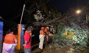 Lluvias y vientos derriban &aacute;rboles y afectan varias localidades de Valverde
