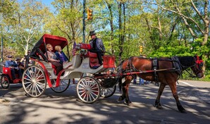 Trump cuestiona el fin de carruajes de caballos en Nueva York por un solo accidente