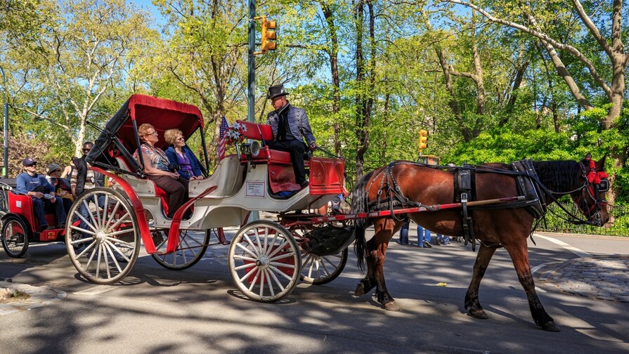 Trump cuestiona el fin de carruajes de caballos en Nueva York por un solo accidente Trump cuestiona el fin de carruajes de caballos en Nueva York por un solo accidente