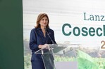 Gobierno reitera mantiene diálogo con EE. UU. sobre el arroz en el DR-Cafta Gobierno reitera mantiene diálogo con EE. UU. sobre el arroz en el DR-Cafta