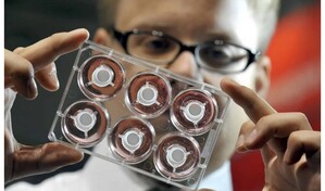 La Uni&oacute;n Europea flexibiliza sus normas respecto a sustancias peligrosas en los cosm&eacute;ticos