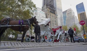 Los carruajes de Central Park: 150 a&ntilde;os de historia que llegan a su fin en Nueva York