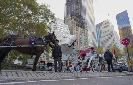Los carruajes de Central Park: 150 a&ntilde;os de historia que llegan a su fin en Nueva York