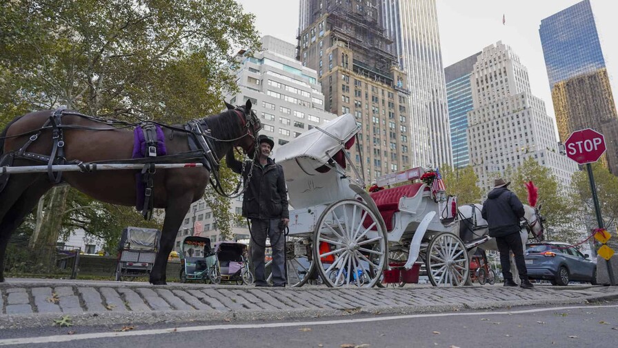 Los carruajes de Central Park: 150 a&ntilde;os de historia que llegan a su fin en Nueva York