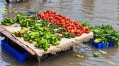 Lluvias convierten mercado p&uacute;blico de Barahona en foco de contaminaci&oacute;n y ponen en riesgo alimentos
