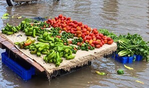 Lluvias convierten mercado p&uacute;blico de Barahona en foco de contaminaci&oacute;n y ponen en riesgo alimentos