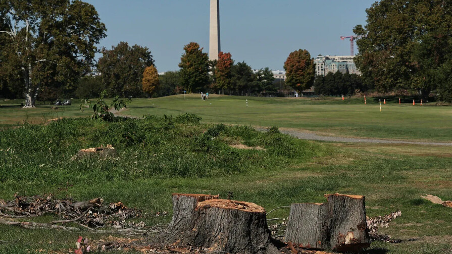Una jueza proh&iacute;be a Trump talar m&aacute;s &aacute;rboles en un campo de golf p&uacute;blico de Washington