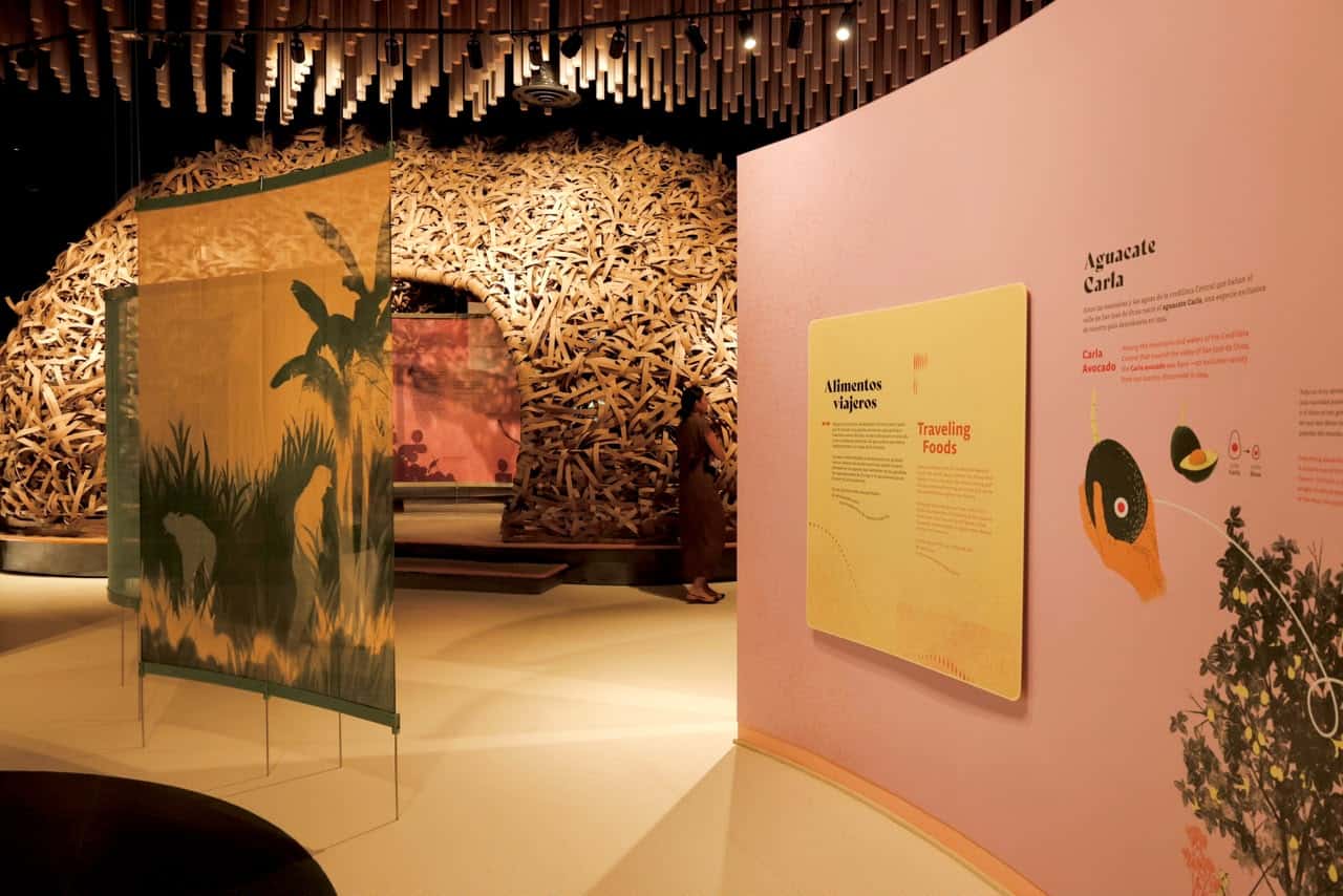 "Un nido para el mundo" en el Centro Cultural Rainieri.