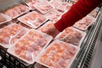 Las importaciones de pollo aumentan 45 % a septiembre, ante una mayor oferta en Estados Unidos Las importaciones de pollo aumentan 45 % a septiembre, ante una mayor oferta en Estados Unidos
