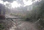 Lluvias provocan aislamiento de comunidades y p&eacute;rdidas en la agricultura de Tireo