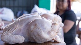 La libra de pollo se vende entre RD$70 y RD$85 en mercados y carnicer&iacute;as del Gran Santo Domingo
