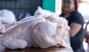 La libra de pollo se vende entre RD$70 y RD$85 en mercados y carnicer&iacute;as del Gran Santo Domingo