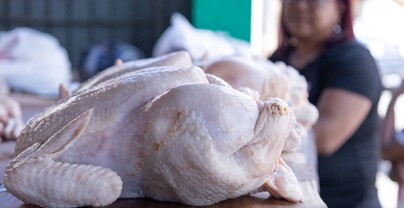 La libra de pollo se vende entre RD$70 y RD$85 en mercados y carnicer&iacute;as del Gran Santo Domingo