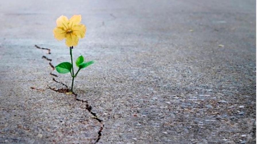 Sin Esperanza no hay vida