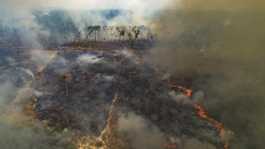 Brasil: Se incendia parque con gran población de jaguares