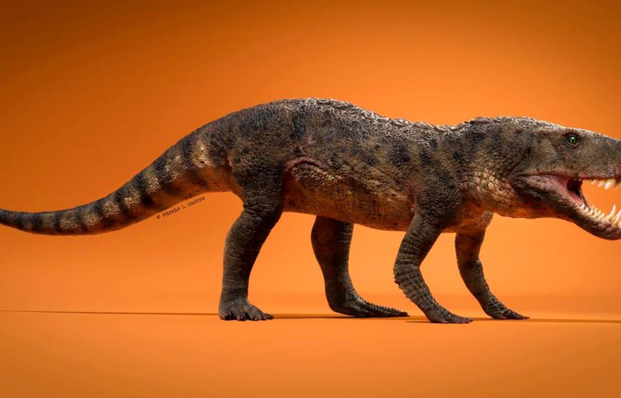 Hallan en Brasil el fósil de un reptil prehistórico 