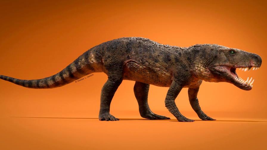 Hallan en Brasil el fósil de un reptil prehistórico 