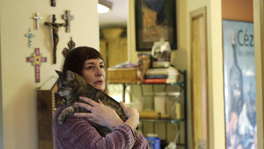 Cirugías por epilepsia ofrecen vistazo al cerebro