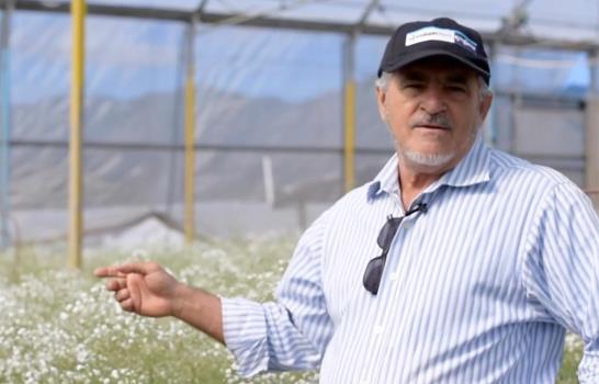 Flores que impactan en RD