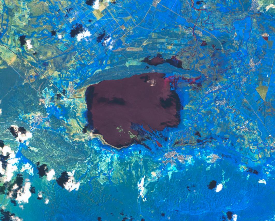 5 de septiembre de 2020.