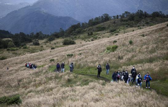 Colombia planta árboles en memoria de víctimas del COVID-19