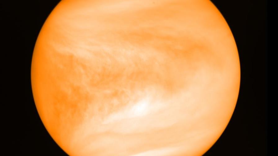 Hallan indicios de potencial de vida en atmósfera de Venus