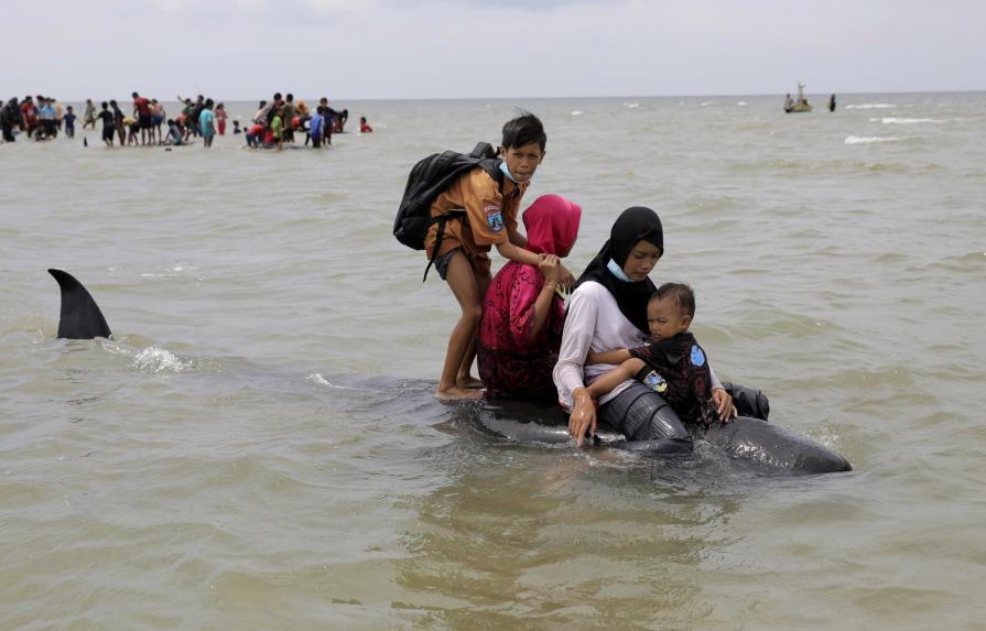 Mueren 42 ballenas tras quedar varadas en isla de Indonesia