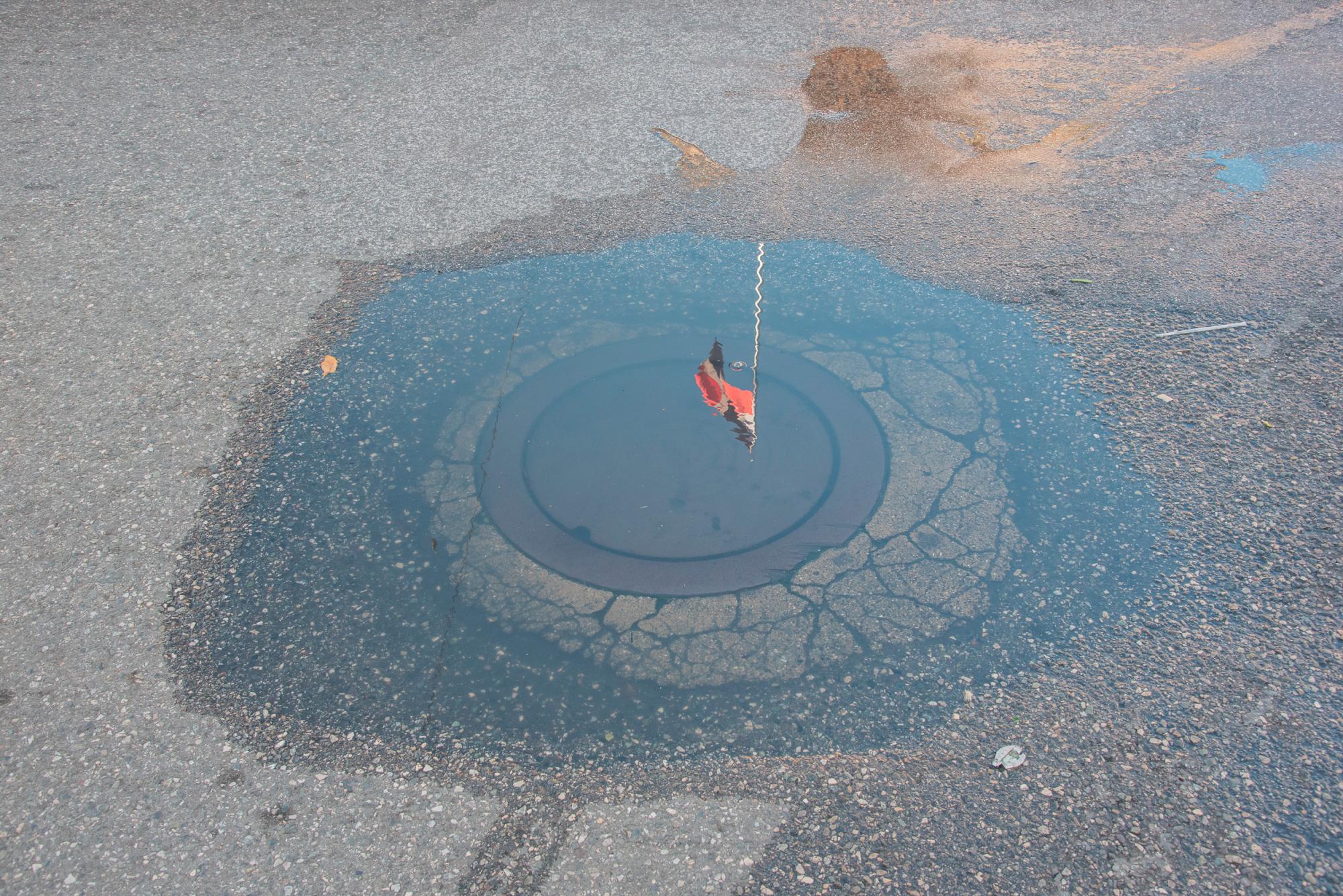 En medio del registro con materia fecal, el reflejo de la bandera, símbolo de libertad.