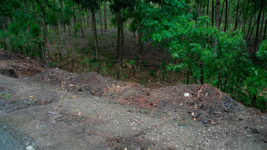 Investigan hallazgo de perros muertos en el Higüero para establecer responsabilidades Investigan hallazgo de perros muertos en el Higüero para establecer responsabilidades