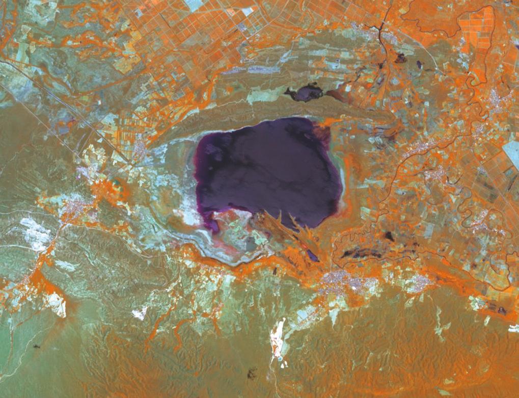 6 de agosto de 2020.