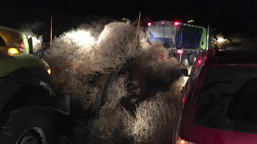 Plantas rodadoras cierran autopista de Washington