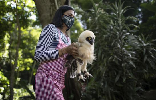 Las mejores fotos de la semana en América Latina