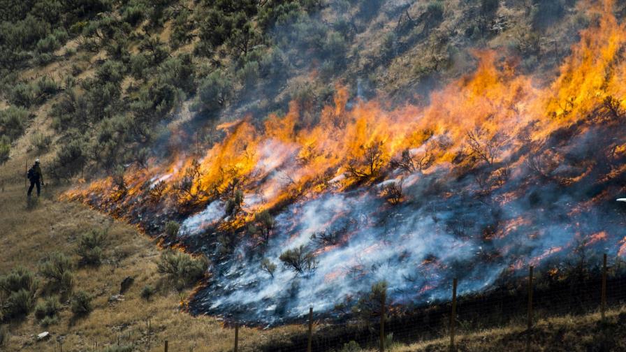 EEUU: Anuncian cortafuegos para 6 estados de la Gran Cuenca EEUU: Anuncian cortafuegos para 6 estados de la Gran Cuenca