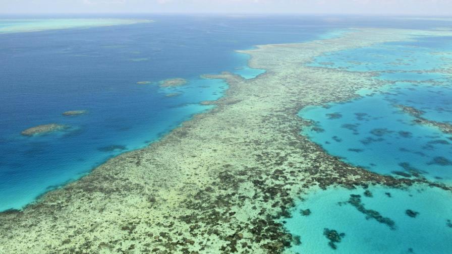 UNESCO defiende decisión sobre arrecife en Australia UNESCO defiende decisión sobre arrecife en Australia