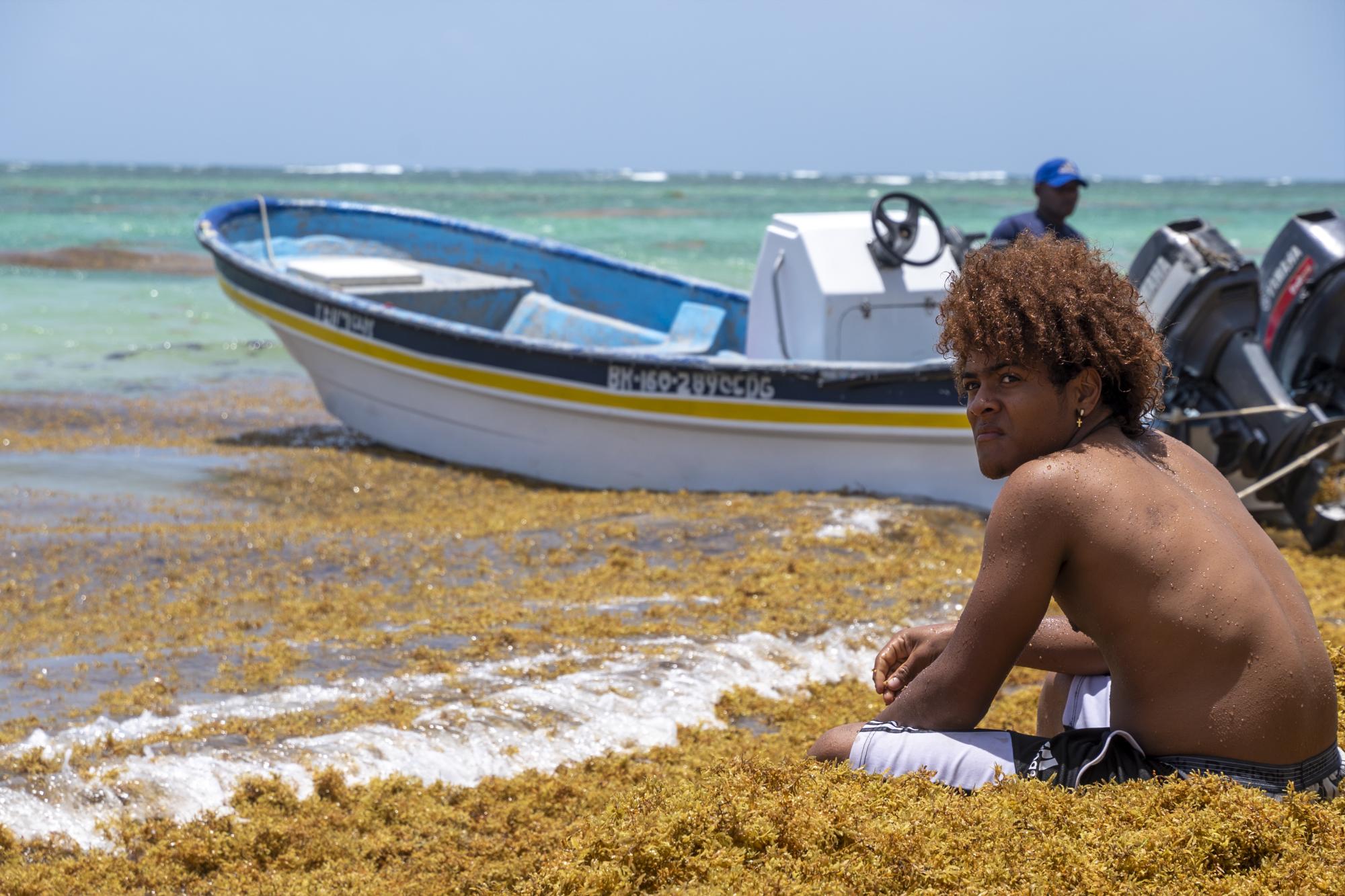 Mitigación del sargazo en las playas de Bávaro-Punta Cana aguarda por una licitación