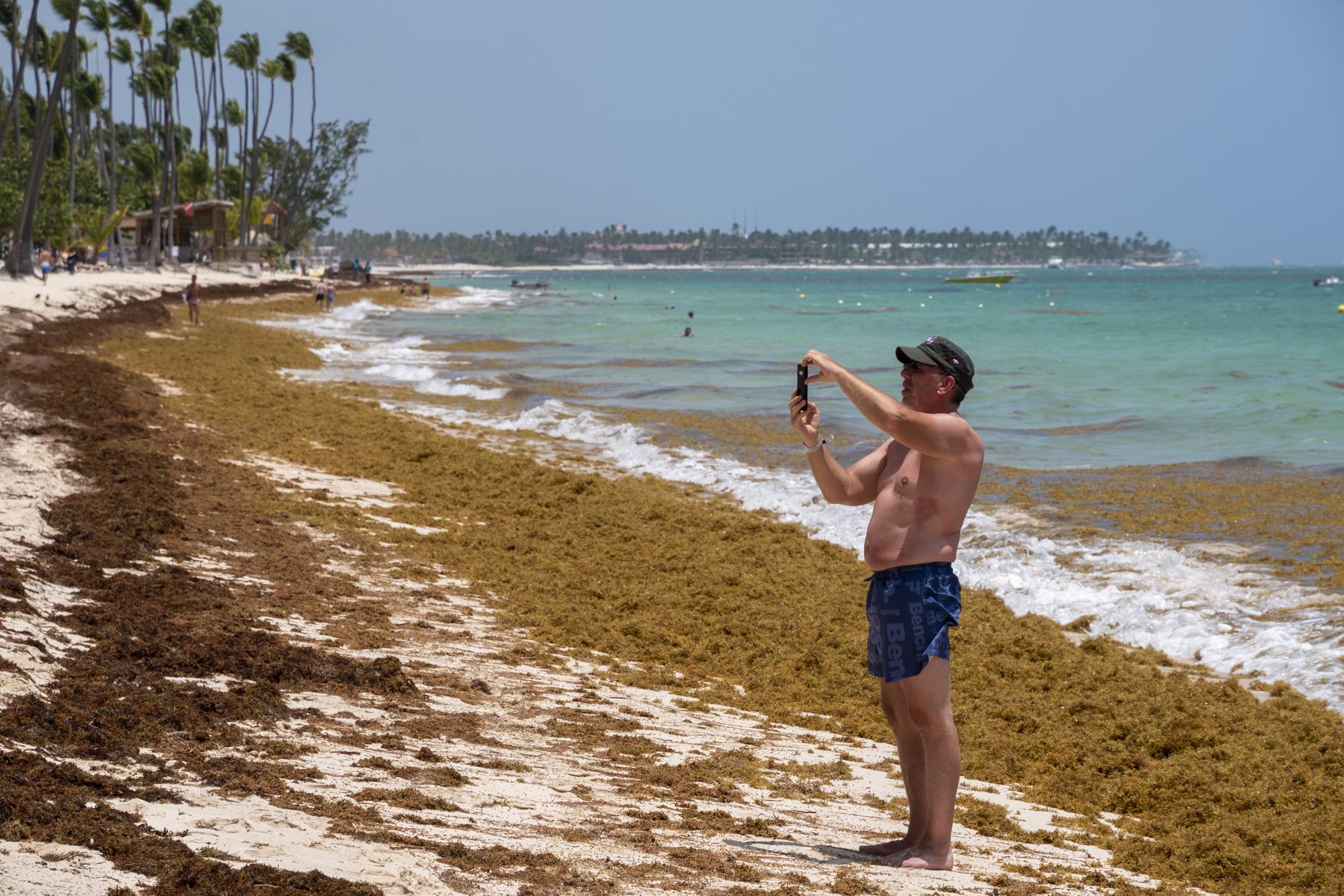 Un turista toma una selfie en la playa El Cortecito, totalmente cubierta por sargazo, en Bávaro, provincia La Altagracia (Foto: Nelson Pulido)