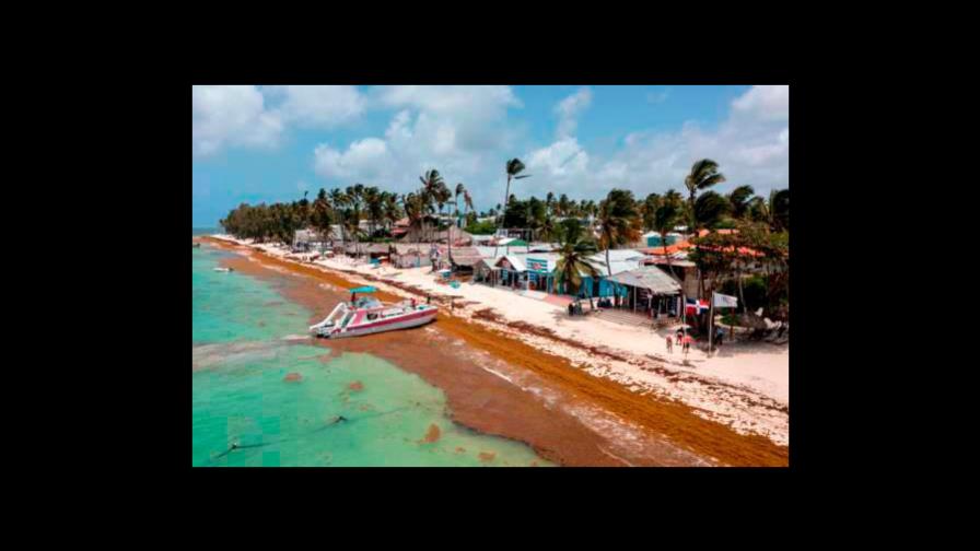República Dominicana propone crear un fondo regional para combatir el sargazo República Dominicana propone crear un fondo regional para combatir el sargazo