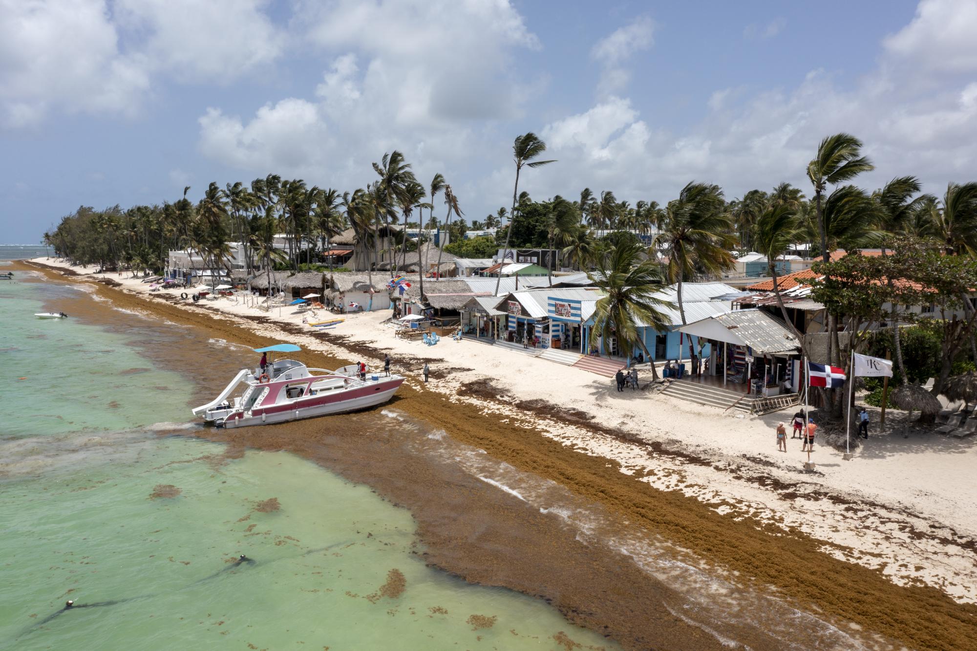 En la playa de El Cortecito, una gran cantidad de sargazo cubre la arena blanca y llena el ambiente de un olor fétido. (Foto: Nelson Pulido)