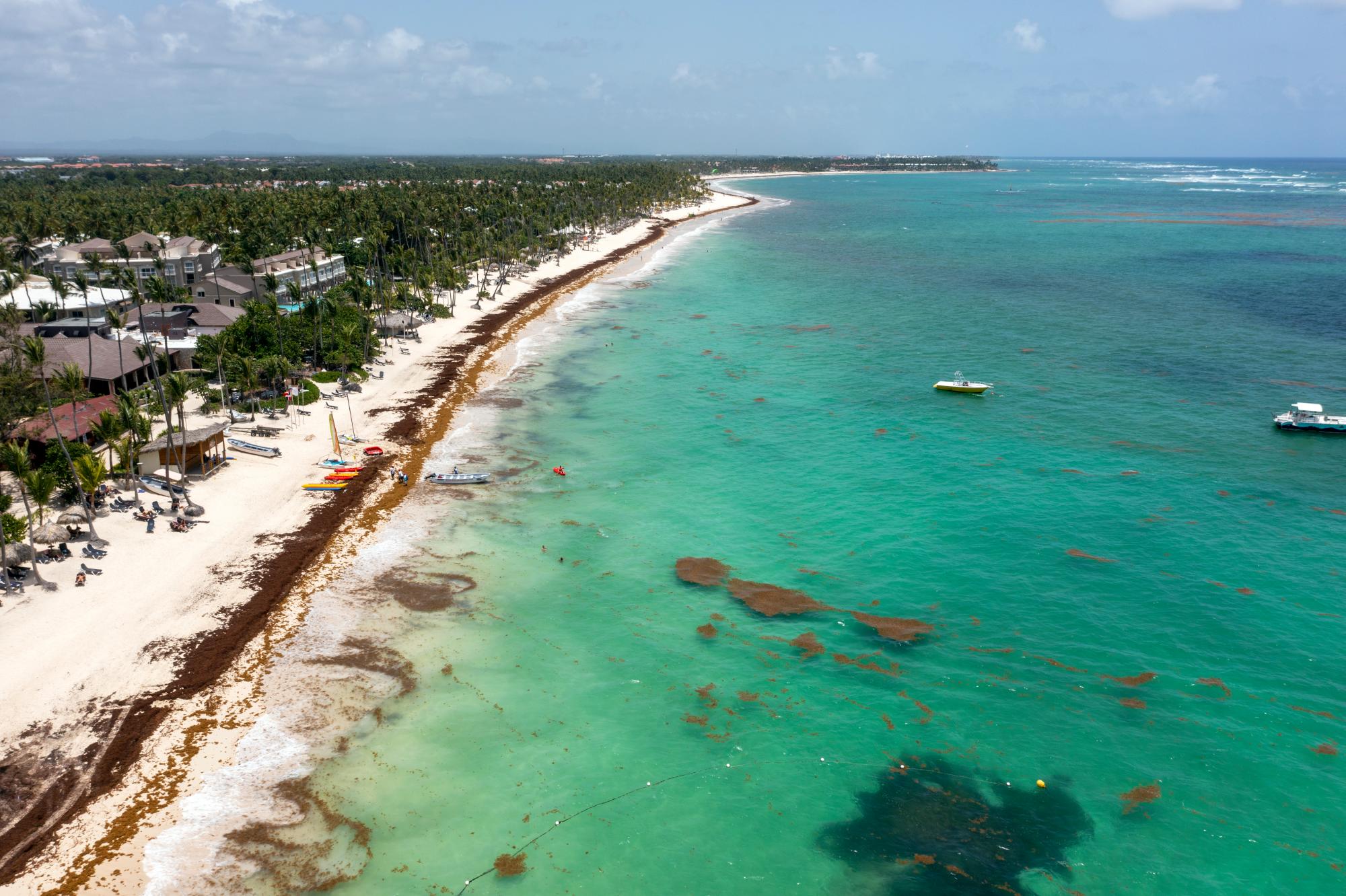 Vista de las mantas de sargazo flotando en la costa de Bávaro-Punta Cana, el 9 de julio de 2021.