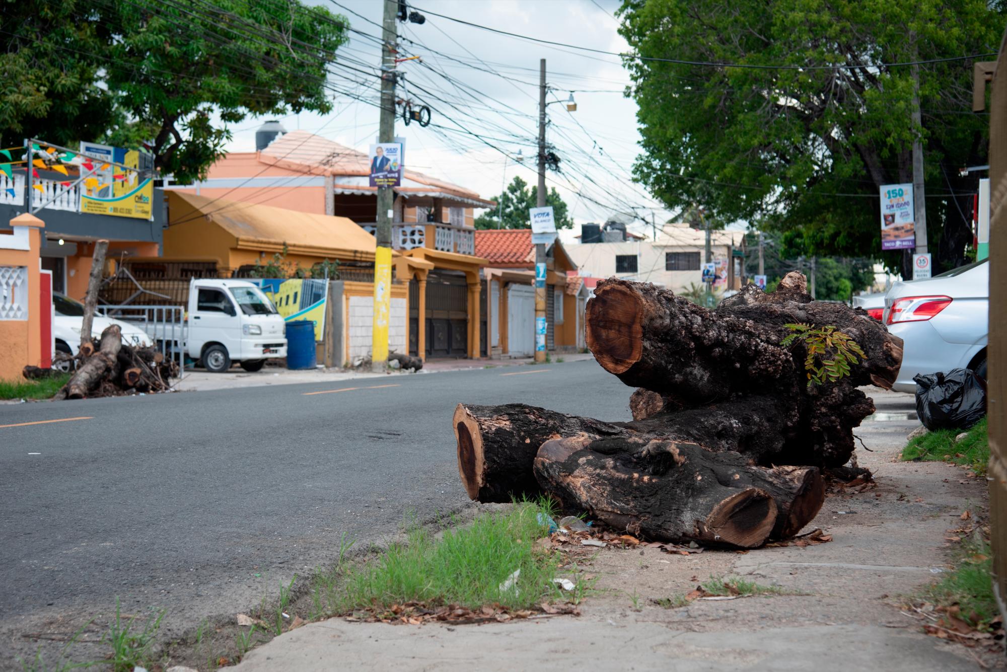 Tronco en la calle 19 en Alma Rosa II.