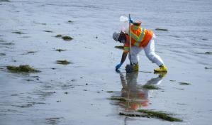 Sigue el misterio sobre la causa del vertido en California