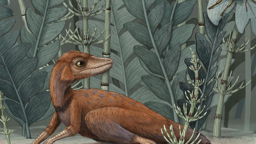 Fósiles revelan predecesor de dinosaurios de apenas 10 cm