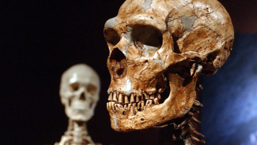 Estudio: Sólo 7% del genoma humano moderno es único