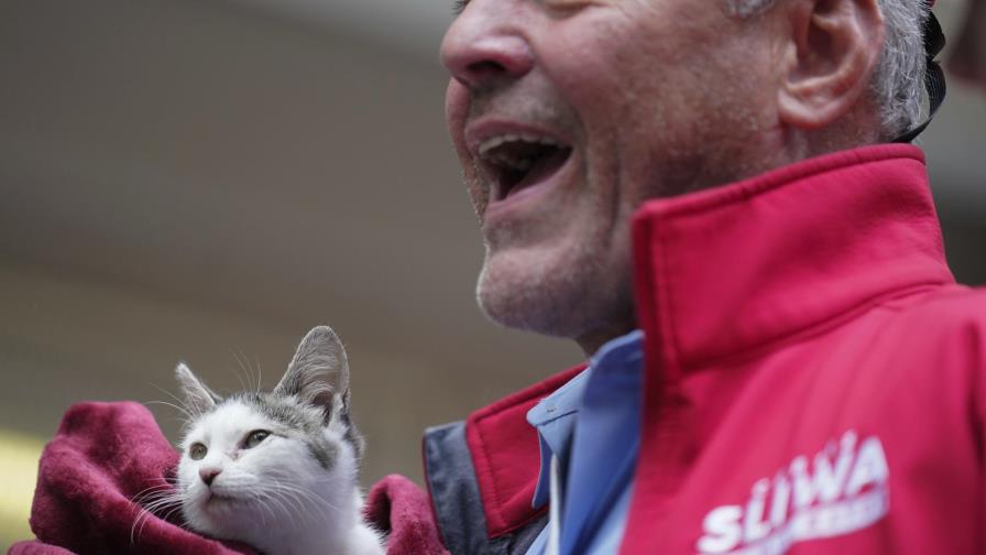 Candidato a alcalde de NY acude a votar acompañado por gato