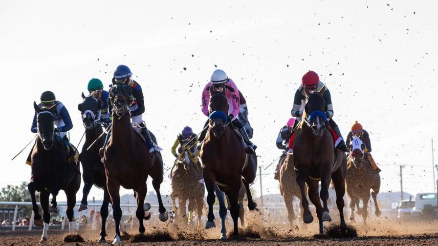 Suspenden por más de tres décadas y casi medio millón a entrenador que dopaba caballos