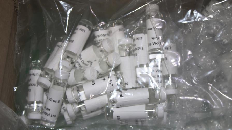 Decomisan kits falsos de prueba del coronavirus en Estados Unidos Decomisan kits falsos de prueba del coronavirus en Estados Unidos