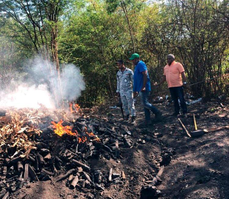 Medio Ambiente destruye hornos ilegales de carbón en Azua y apresa responsable