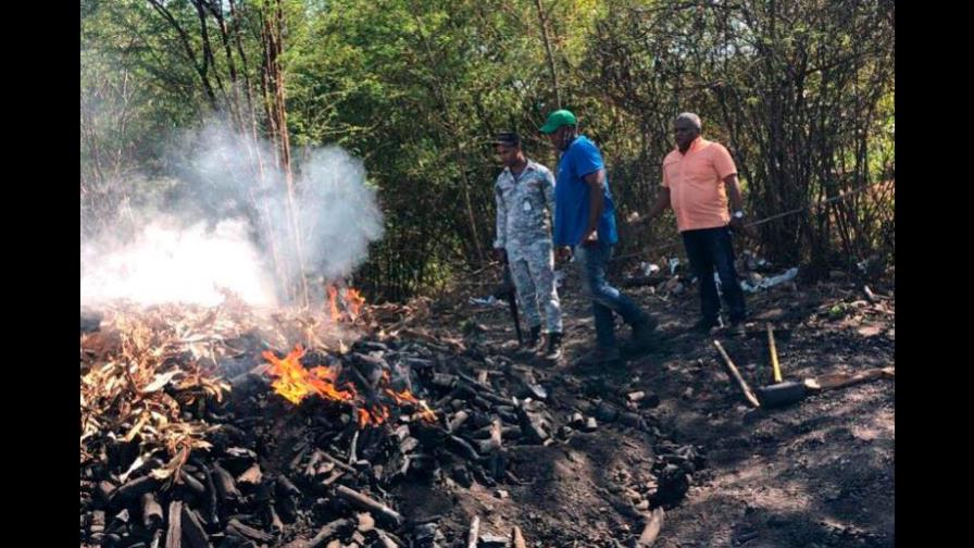 Medio Ambiente destruye hornos ilegales de carbón en Azua y apresa responsable
